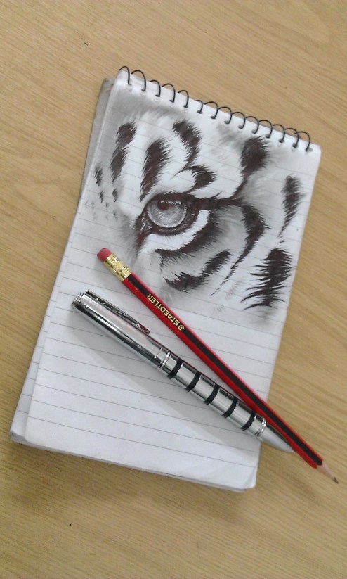 Tiger doodle
