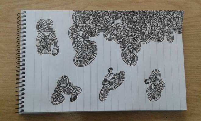 11393192_10203010776789141_6583039990017658653_n