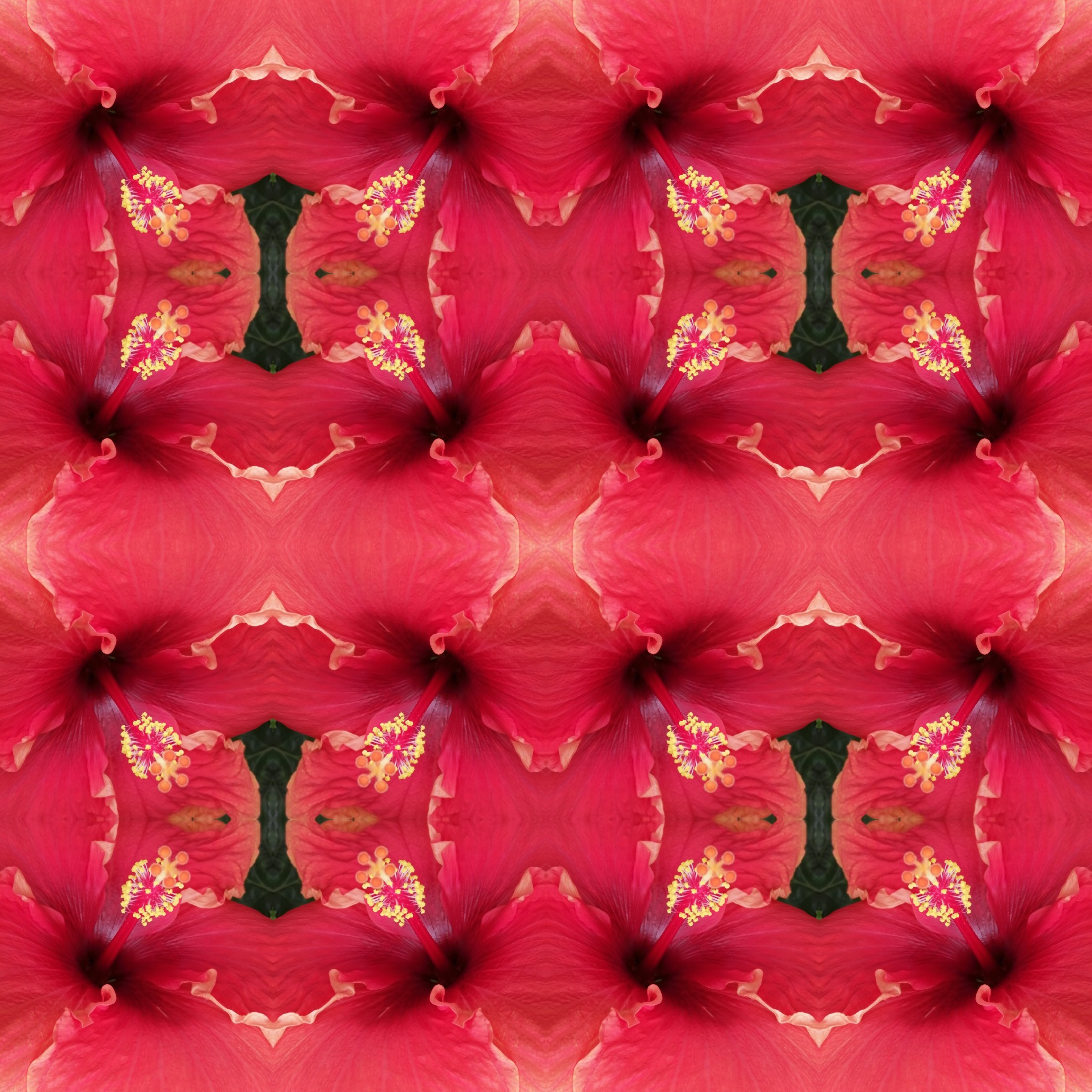 Fotor_158031206276312