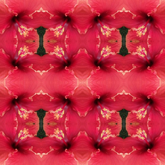 Fotor_158031206276312