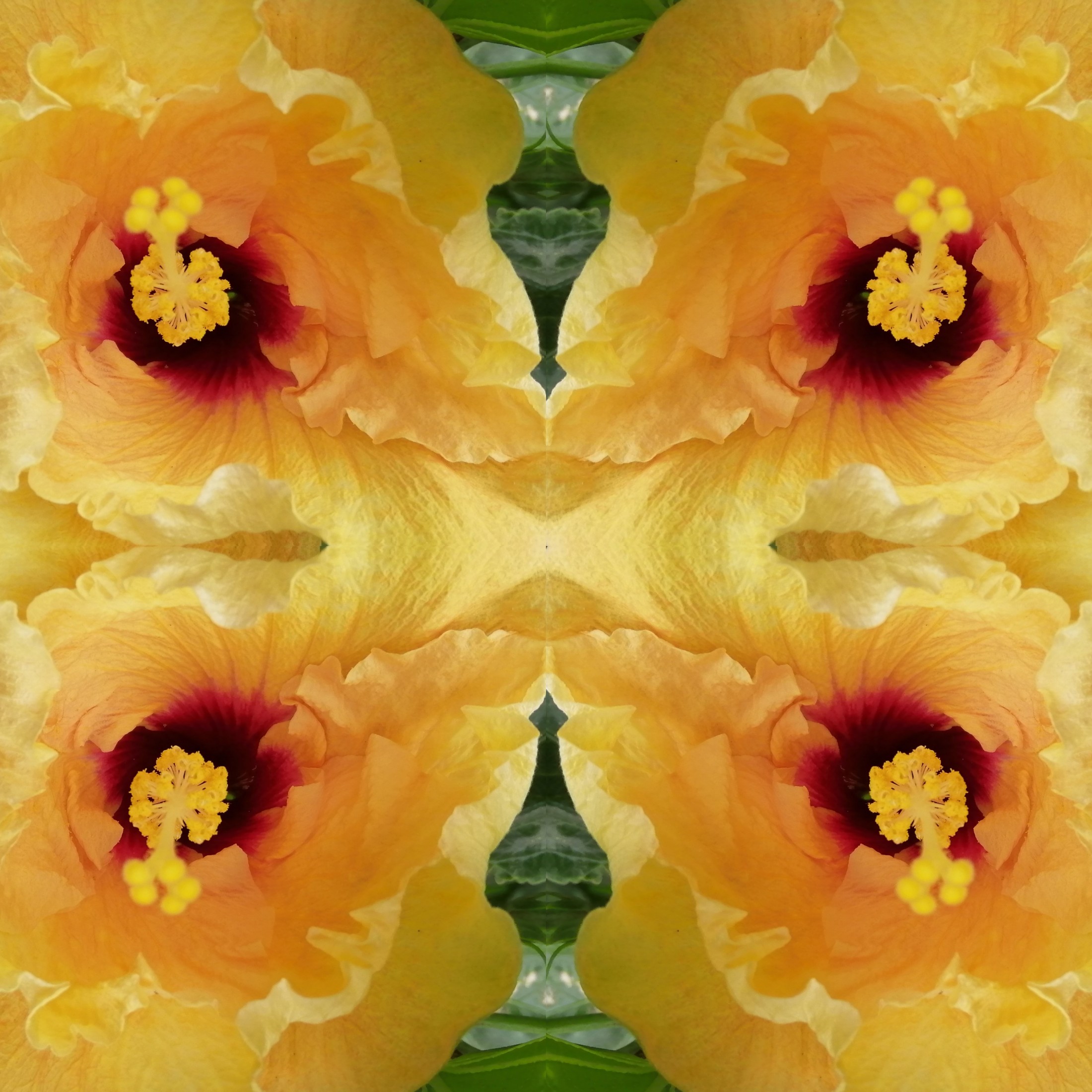 Fotor_158031485514378