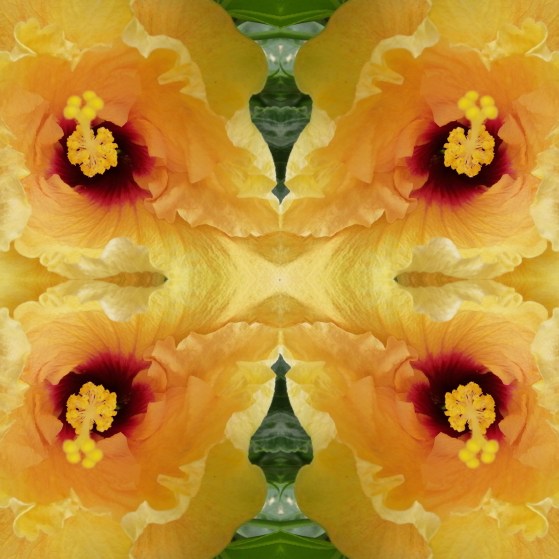 Fotor_158031485514378