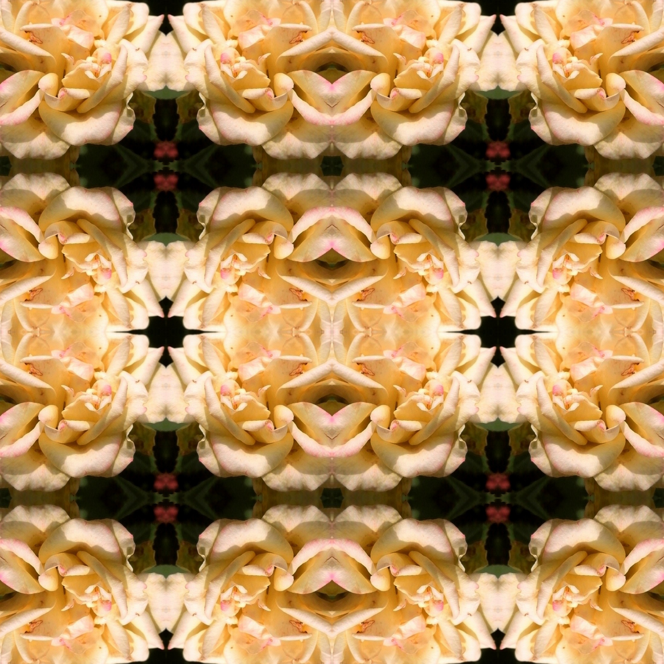 Fotor_158037559072688