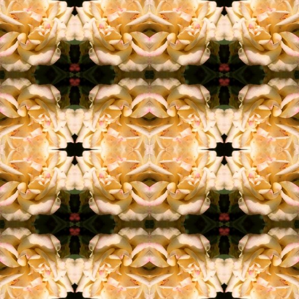 Fotor_158037559072688