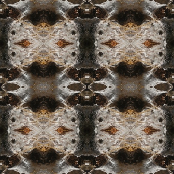 Fotor_158038198193064