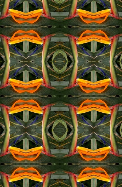 Screenshot_20200127_155836