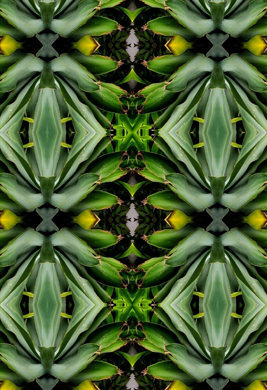 Screenshot_20200127_160720